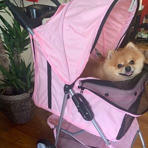 Dog Stroller
